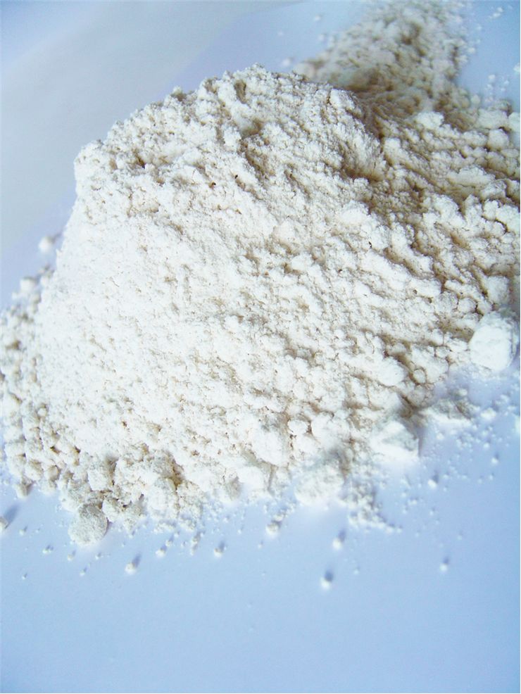 Picture- Flour for Bread