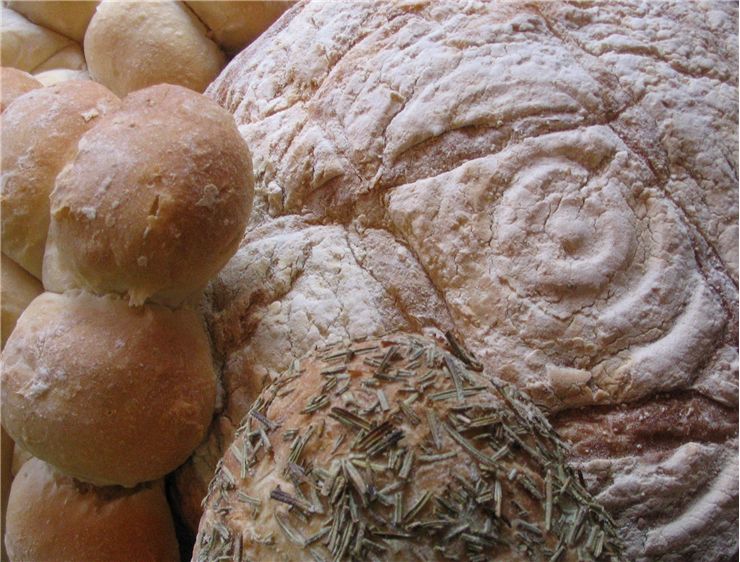 Picture - Three Types of Bread